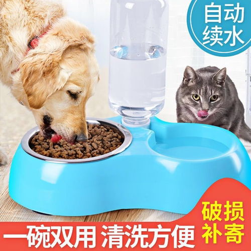 物猫咪狗狗用品双碗狗食盆猫盆猫狗水盆不锈钢宠物用品狗碗猫碗宠